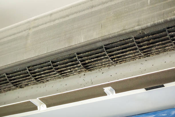 Best Air Duct Sanitizing Services  in Minot, ND